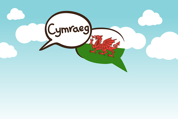 Welsh Language Use On Anglesey County Council Responds To 2021 Census Data 8577